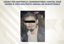 FGE, sentencia, maltrato animal, Huejotzingo
