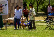 Gobierno de Puebla, Adopta Fest, Parque Metropolitano
