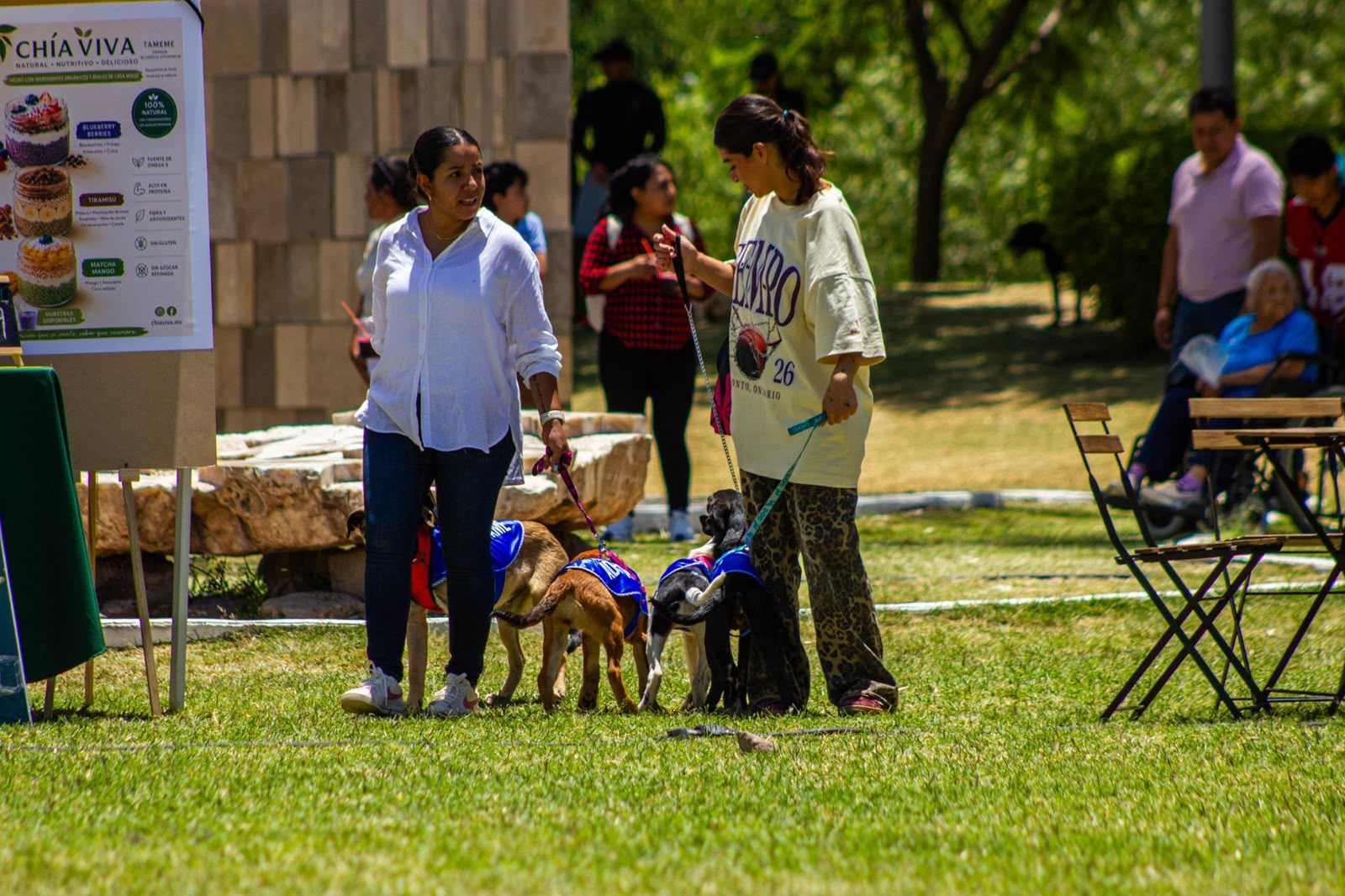 Gobierno de Puebla, Adopta Fest, Parque Metropolitano